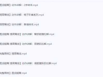 《叔贵VIP健身课程合集》[250节完整视频课程] [共3G内含马甲线.颈肩.减脂训练.臀部训练]