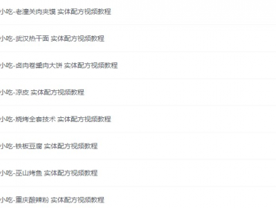 《龙隐小吃街小吃教程大全》[视频教学美食做法][56.8GB][价值2000+]